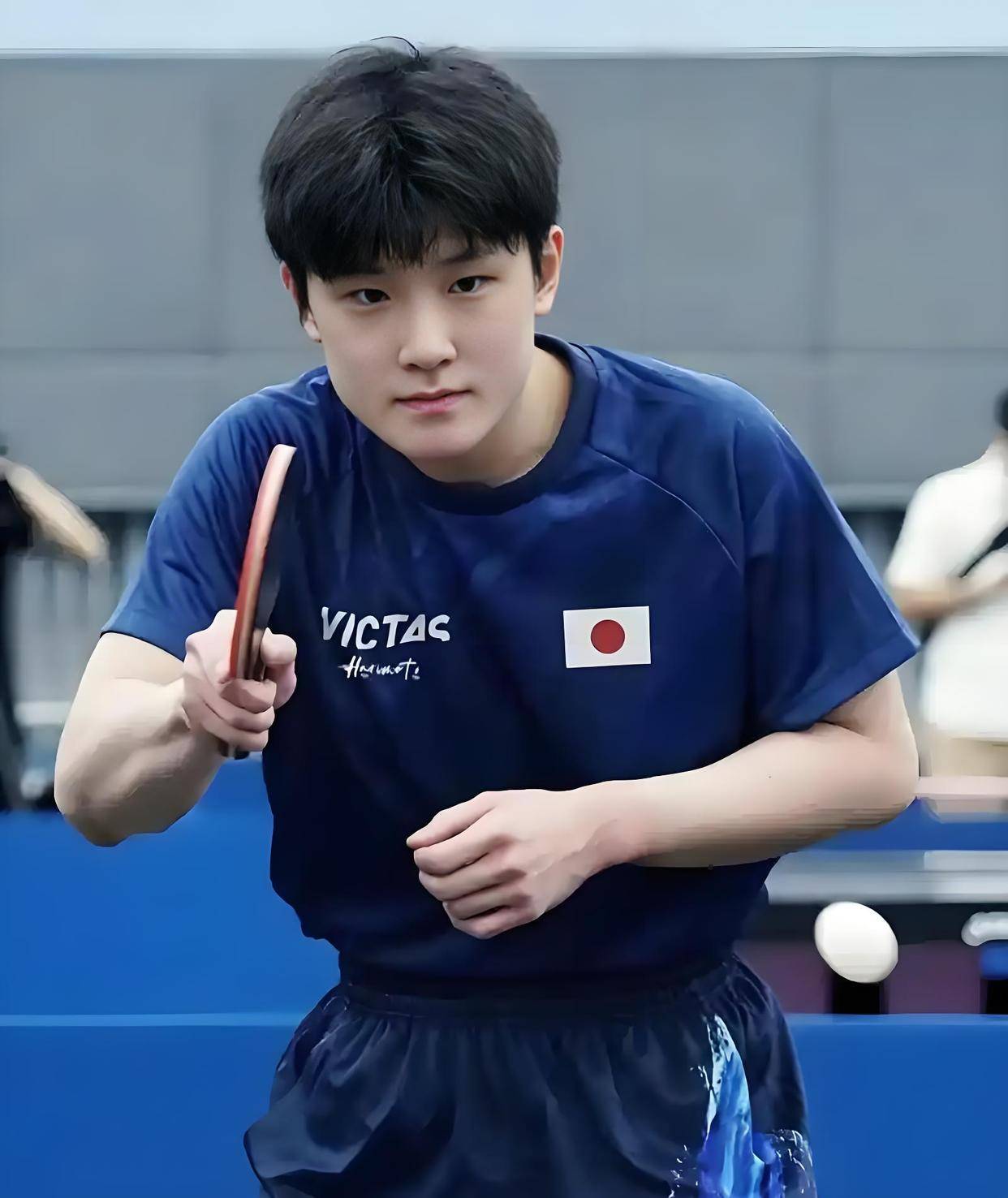 爱游戏2026-葡萄牙队绝杀韩国队，张本智和关键制胜