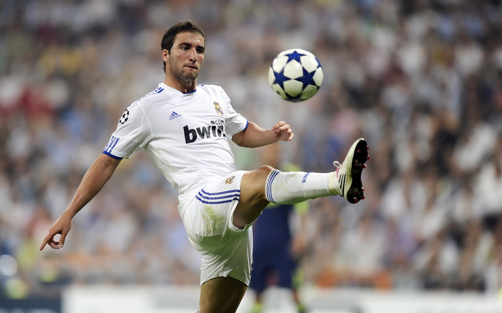 绝境重生，雄鹿抢七逆转背后的心理博弈与城市荣耀